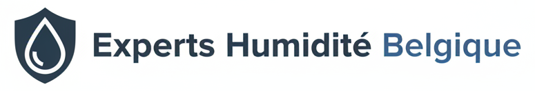 Top Experts Humidité Belgique